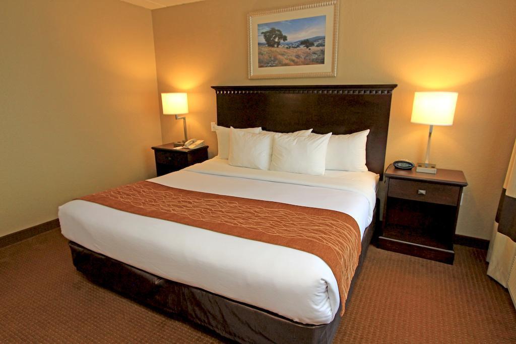 Comfort Suites Austin Airport Extérieur photo